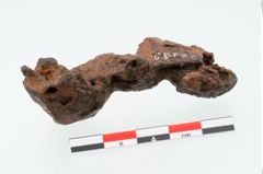 Foto von Eisenbuckel (NHMW-PRAE-026785)